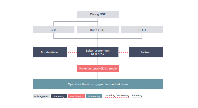 Nationale Strategie NCD: Organigramm